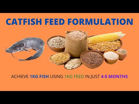 Catfish Feed Formulation: PART 1