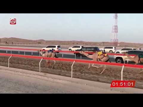  ش 6 (نايف) لـ سالم غانم بن ناصر الدرعي 3:01:74 ، شارة الصندوق 2026/08/29 فطامين الرقيعات