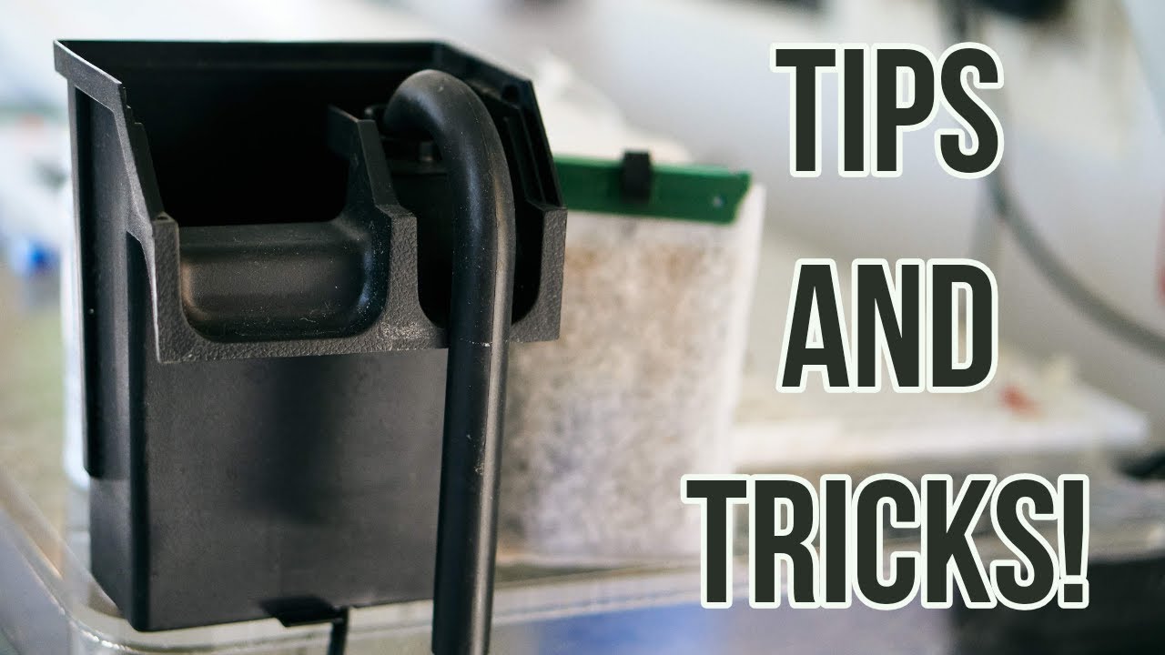 5 TIPS For Hang On back Filters!