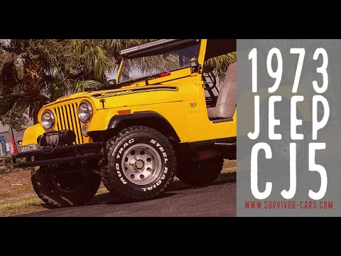 1973 Jeep CJ (CC-1441079) for sale in Palmetto, Florida