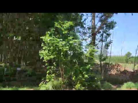 cơ hội đầu tư đất nền phú mỹ, giải đoạn f0 chỉ với 3tr2 m2