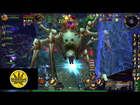 New Gamma Dungeon Azjol Nerub RDF Wotlk ICC With Ballyrosbis Prot Paladin POV