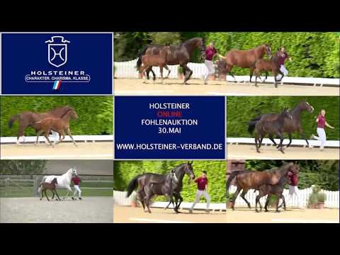 Trailer | Holsteiner Online-Fohlenauktion am 29./30. Mai 2020