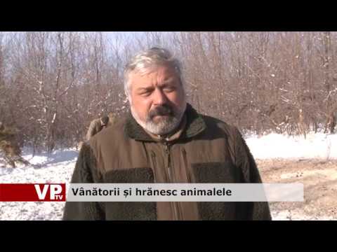 Vânătorii și hrănesc animalele