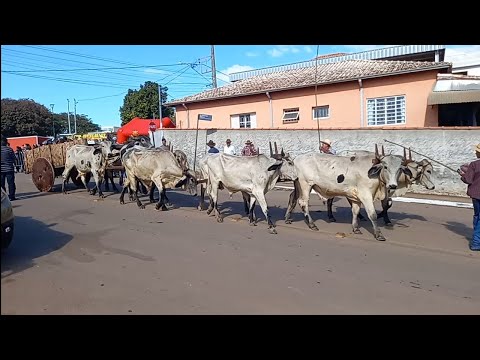 4o encontro de Carreiros em turvolândia Minas Gerais 2026