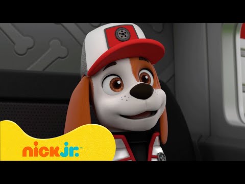 Capa de Patrulha Canina | Os Melhores Momentos de Todos os Tempos dos Filhotes e seu Caminhão! 🚒🐶 | Nick Jr.