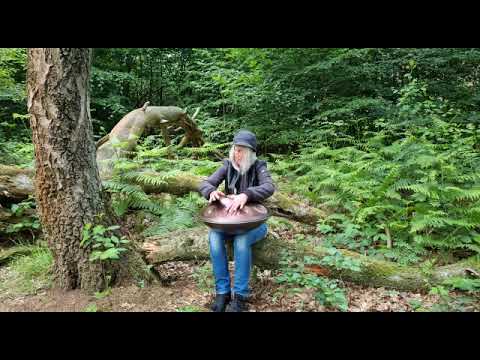 Handpan Entspannung - forest whisper - Ayasa D-Ashakiran 9+1
