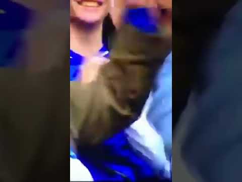 Lennart der Schalke Fan