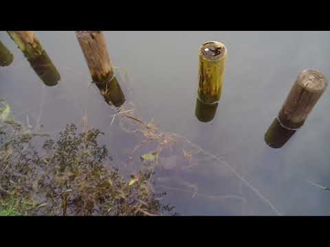 Das Aal Tutorial 2-schnell und Einfach zum Aal- Hot Spots