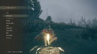 ELDEN RING:DLC#4