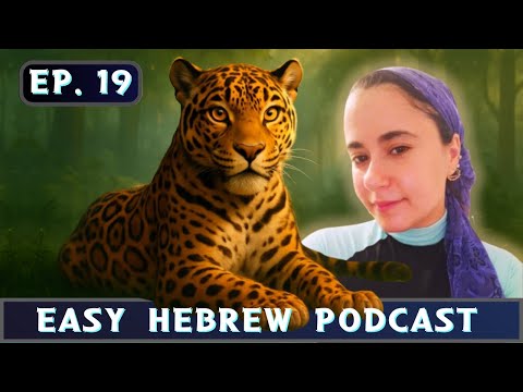 Ep. 19 – Learn Hebrew with optimistic news 🎉✨ | חדשות טובות בעברית קלה | Simply Talk Hebrew