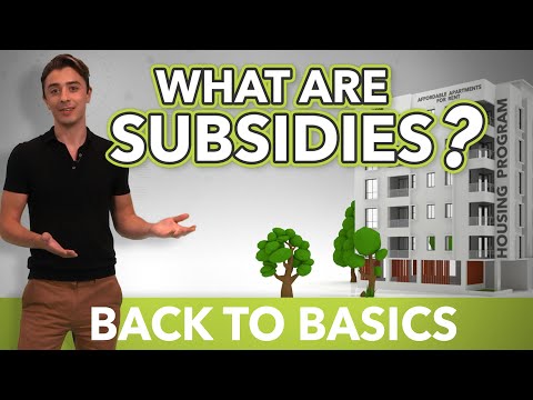 What are Subsidies? | Back to Basics