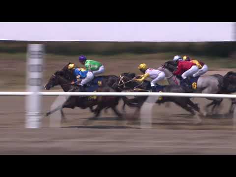 Derby Juvenile 2019 - Outragusandangerus