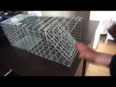How To Assemble A Live Animal Trap