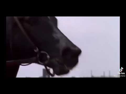 ruffien 😟😟😟