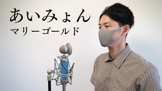 マリーゴールド / あいみょん 原キーで歌ってみた【TaiHEY】