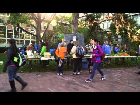 download lagu mp3 mp4 Chancellors Way, download lagu Chancellors Way gratis, unduh video klip Chancellors Way