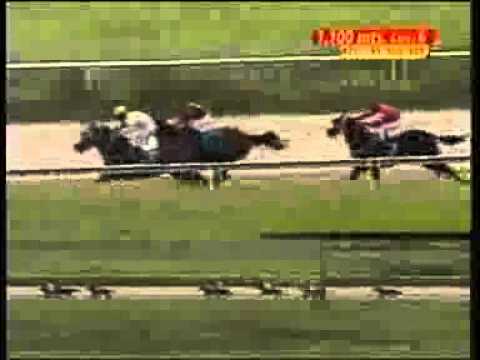 6ta Carrera Valencia Viernes 11 de Julio Indy Paris