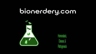 Homeostasis & Disease