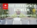 What’s the difference between LECA, perlite, pumice and vermiculite?