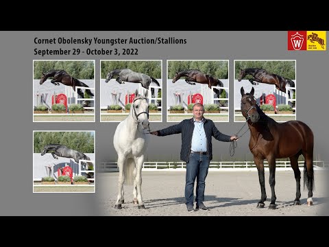 Trailer Cornet Obolensky Youngster Auction/Stallions September 29 - October 3, 2022