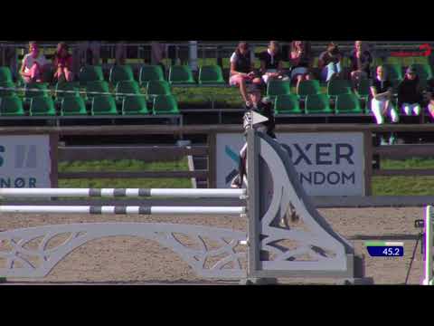 Silver kat 1 ponni for salg.