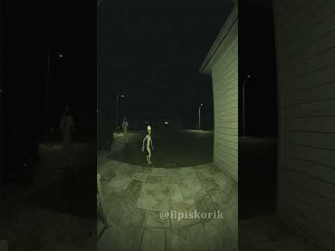 Somebody doesn't want to go back to Area 51 #shorts