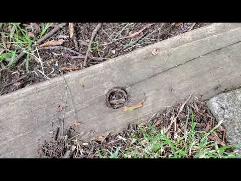 Exterminators in Port Monmouth, NJ