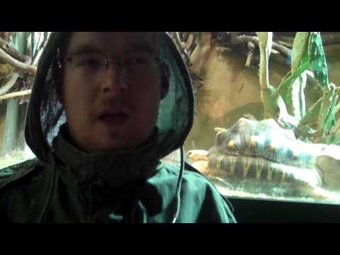 Video thumbnail for Gödlife Tränen