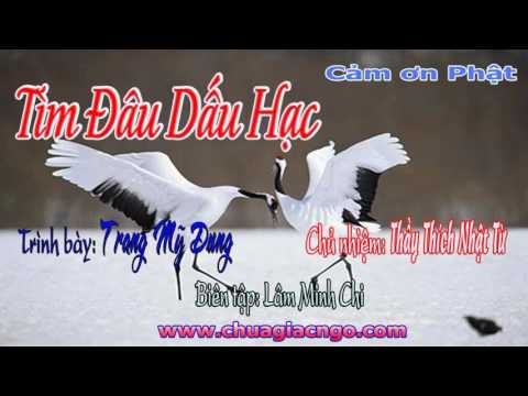 Tìm đâu dấu hạc