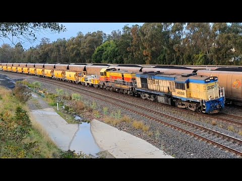 Diesel Locomotives At Work. NSW Australia.