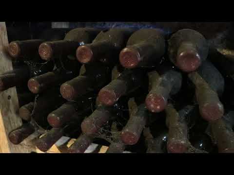 Proizvodnja vina - Arhivska vina
