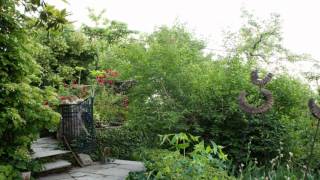 preview picture of video 'The Organic Garden of Tsagarada SERPENTIN Ο Βοτανικός της Τσαγκαράδας'