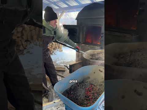 Vermont farm family’s outdated wood boiler fuels heated legal battle #news #shorts