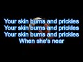 Sia- Pictures lyric video