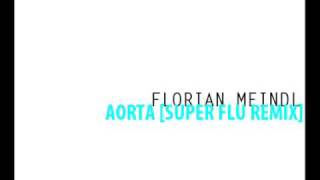 FLORIAN MEINDL / AORTA [SUPER FLU REMIX]