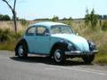 My VW Beetle Herbie