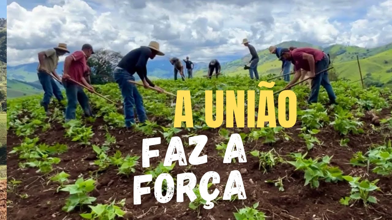 ENCONTRO DE ENXADAS - MUTIRÃO CONTRA O MATO DA ROÇA DE MILHO - FORÇAS REUNIDAS