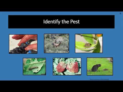 Integrated Pest Management (IPM) | Vibepedia