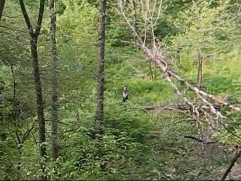 Little Round Top Video 2