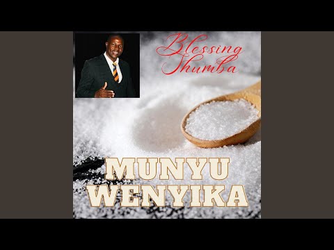 Munyu Wenyika
