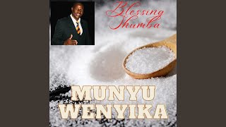 Download lagu Munyu Wenyika mp3
