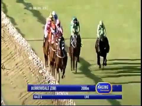 2014.05.25 Zimbabwe Oaks - Casey's Dance