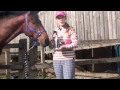 Lucidante massima efficacia Dreamcoat Carr & Day & Martin - 0889 - video