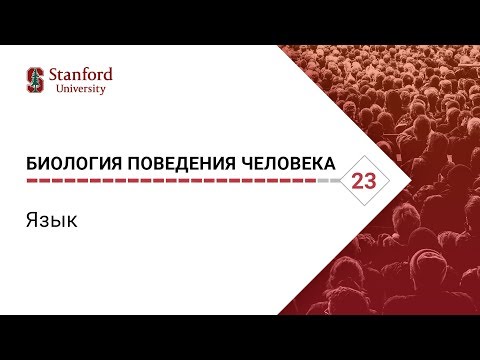 Биология поведения человека: Лекция #23. Язык [Роберт Сапольски, 2010. Стэнфорд]