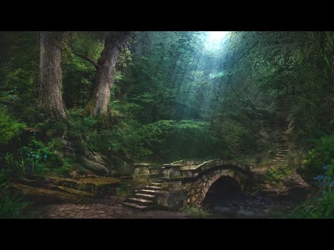 Forest Creek Sounds | 3 Hours | Sleep, Relax, Focus or Meditation