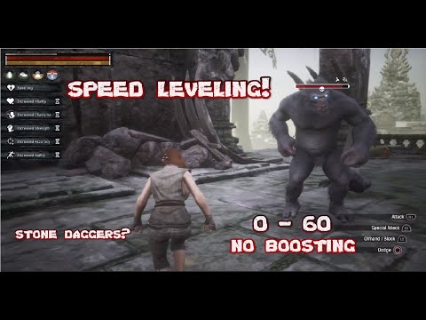 Speed leveling guide 0 - 60 stone daggers only! Beginner friendly.