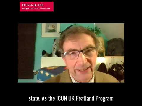 Does burning affect the mosses and can the mosses recover?