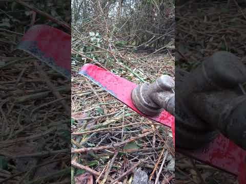amazing difference, 8 foot tall wall of brambles gone #gardening #mulch