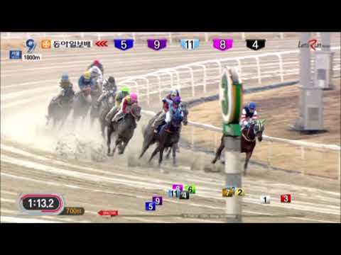 Donga Ilbo 2019 - Silver Wolf (English)